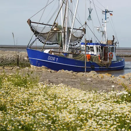 Mp22 - Strandnixe Komfort *